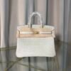 Birkin 25 Glacier White Matte Alligator Gold Hardware Birkin 25 Glacier White Matte Alligator Gold Hardware Retourne Bag