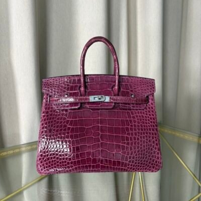 微信图片_20260727103201_980_4 Birkin 25 Améthyste Shiny Alligator Retourne PHW