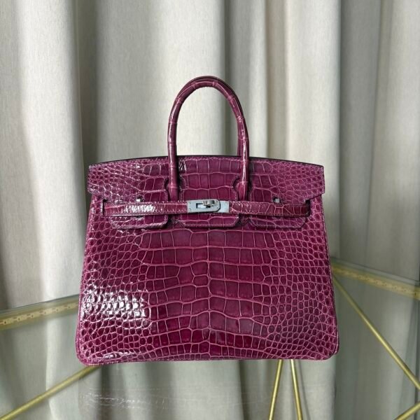 微信图片_20260727103201_980_4 Birkin 25 Améthyste Shiny Alligator Retourne PHW