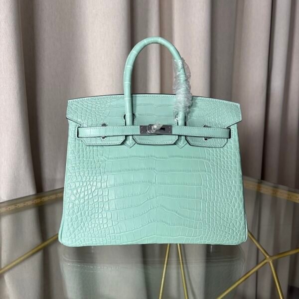 birkin-25-menthe-matte-alligator-retourne-phw Birkin 25 Menthe Matte Alligator Retourne PHW