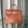 Birkin-25-Matte-Fauve-Alligator Birkin 25 Fauve Matte Alligator Gold Hardware matte brown exotic leather luxury handbag