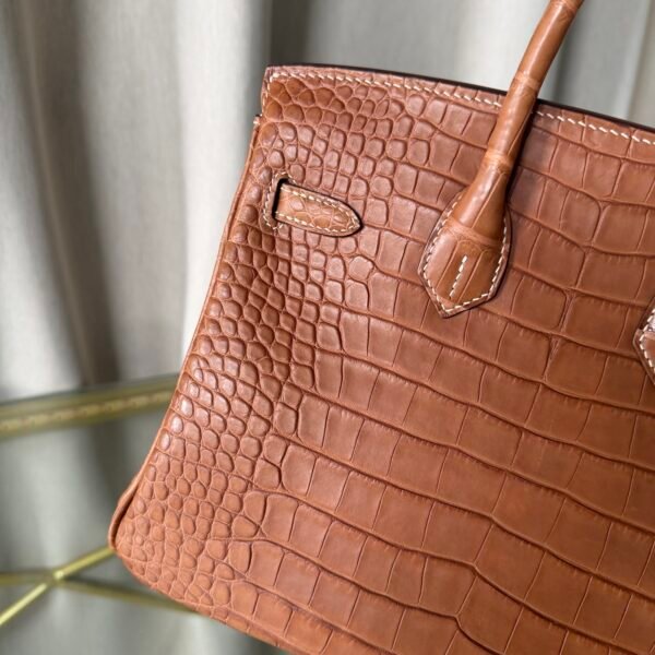 Birkin-25-Matte-Fauve-Alligator Birkin 25 Fauve Matte Alligator Gold Hardware matte brown exotic leather luxury handbag
