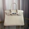 Glacier White Matte Alligator Birkin 30 Bag Front view of a luxury Birkin 30 bag in Glacier White matte Alligator leather with palladium hardware.