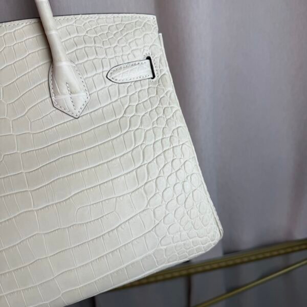 Glacier White Matte Alligator Birkin 30 Bag Front view of a luxury Birkin 30 bag in Glacier White matte Alligator leather with palladium hardware.
