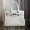 Blanc Matte Alligator Birkin 30 Bag Front view of a luxury Birkin 30 bag in Blanc matte Alligator leather with palladium hardware.