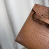 Birkin 20 Sellier bag in Gold Matte Alligator with Gold Hardware