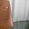 Birkin 20 Sellier bag in Gold Matte Alligator with Gold Hardware