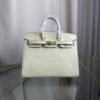 Birkin 20 Sellier bag in Vanille Matte Alligator with Gold Hardware