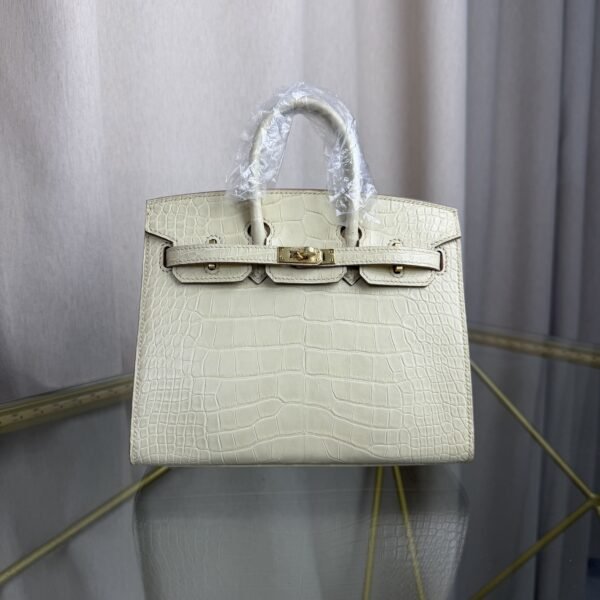 Birkin 20 Sellier bag in Vanille Matte Alligator with Gold Hardware
