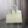 Birkin 20 Sellier bag in Vanille Matte Alligator with Gold Hardware