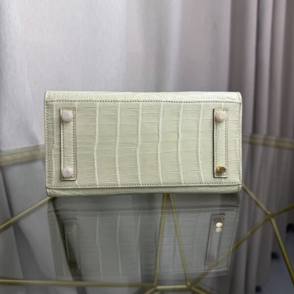 Birkin 20 Sellier bag in Vanille Matte Alligator with Gold Hardware