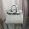 Birkin 20 Sellier bag in Beton Matte Alligator with Palladium Hardware