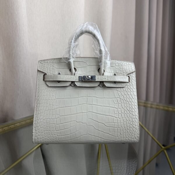 Birkin 20 Sellier bag in Beton Matte Alligator with Palladium Hardware