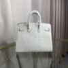 Birkin 20 Sellier bag in Beton Matte Alligator with Palladium Hardware