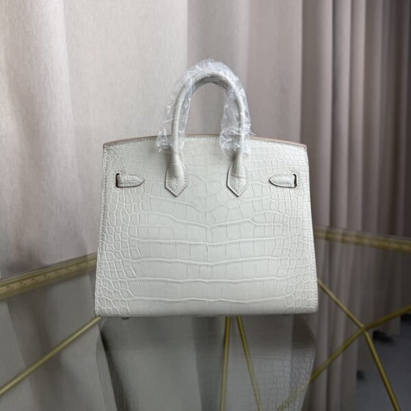 Birkin 20 Sellier bag in Beton Matte Alligator with Palladium Hardware