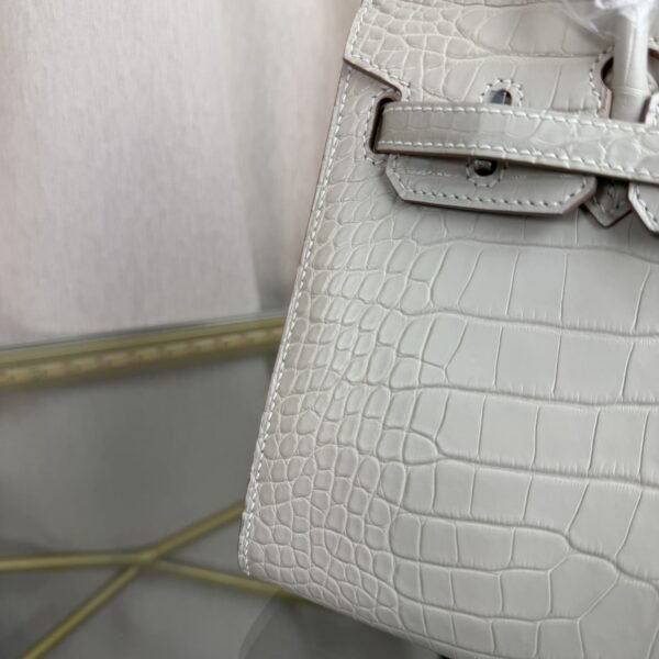 Birkin 20 Sellier bag in Beton Matte Alligator with Palladium Hardware