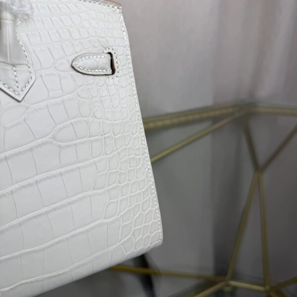 Birkin 20 Sellier bag in Beton Matte Alligator with Palladium Hardware