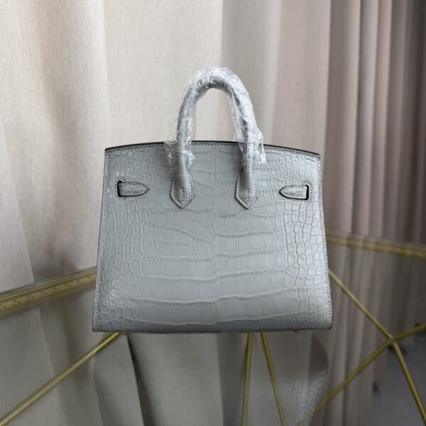 Birkin 20 Sellier bag in Gris Cendre Matte Alligator with Gold Hardware