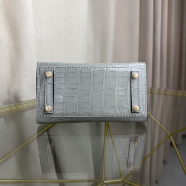 Birkin 20 Sellier bag in Gris Cendre Matte Alligator with Gold Hardware