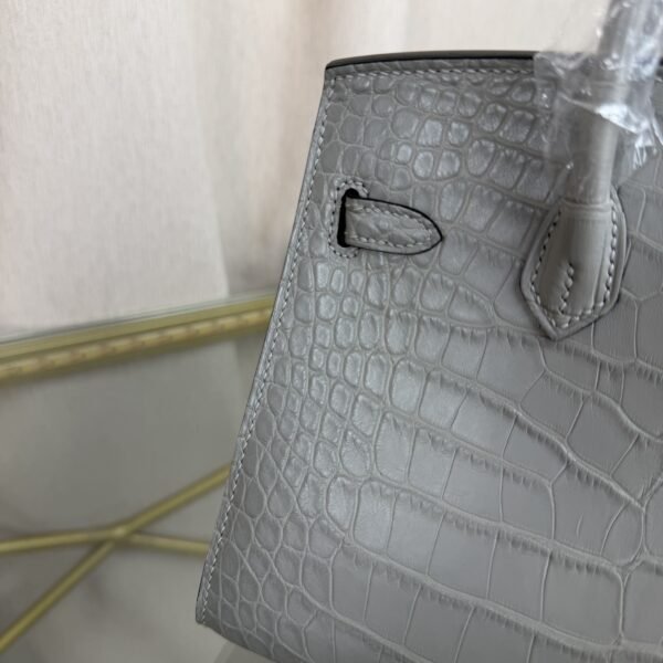 Birkin 20 Sellier bag in Gris Cendre Matte Alligator with Gold Hardware