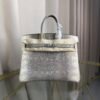 Birkin 25 Retourne bag in Lizard Naturel with Palladium Hardware