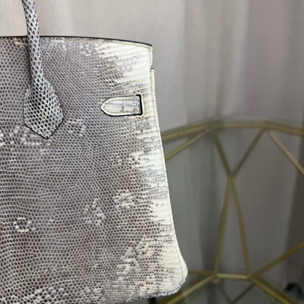 Birkin 25 Retourne bag in Lizard Naturel with Palladium Hardware