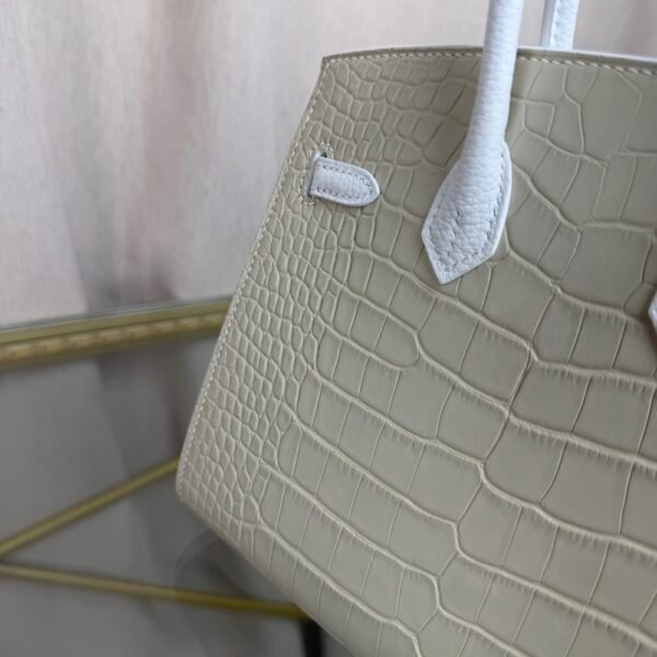 Birkin-Faubourg-20-Snow-White-Matte-Mississippiensis-Alligator-Silver-Hardware Birkin Faubourg 20 Snow White Matte Alligator Togo bag front view