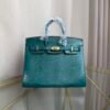 Birkin-Sellier-20-Peacock-Green-Shiny-Lizard-Gold-Hardware Birkin Sellier 20 Peacock Green Shiny Lizard Gold Hardware bag front view