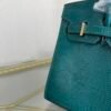Birkin-Sellier-20-Peacock-Green-Shiny-Lizard-Gold-Hardware Birkin Sellier 20 Peacock Green Shiny Lizard Gold Hardware bag front view
