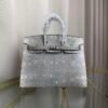 Birkin Sellier 20 in Ombre Lizard with Palladium Hardware. Birkin-Sellier-20-Ombre-Naturel-Lizard-Silver-Hardware