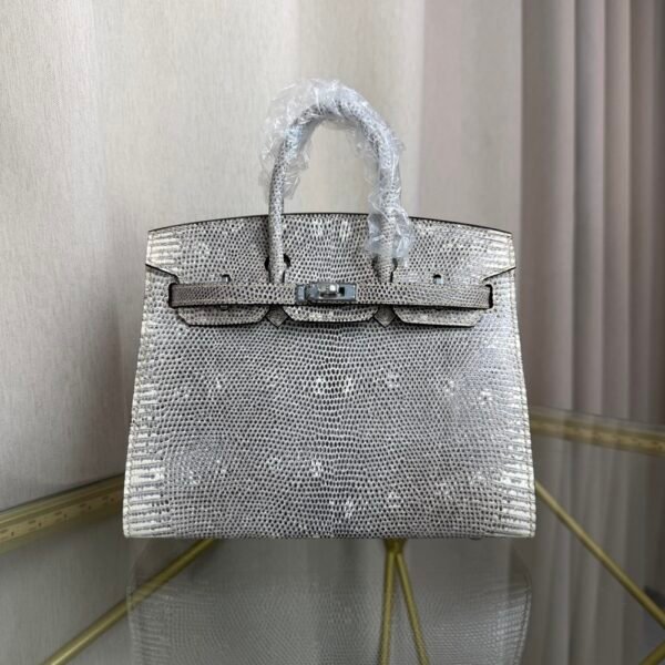 Birkin Sellier 20 in Ombre Lizard with Palladium Hardware. Birkin-Sellier-20-Ombre-Naturel-Lizard-Silver-Hardware