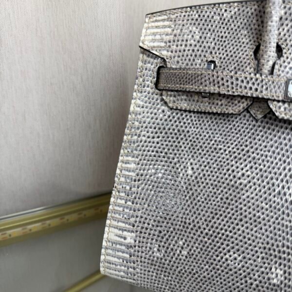 Birkin Sellier 20 in Ombre Lizard with Palladium Hardware. Birkin-Sellier-20-Ombre-Naturel-Lizard-Silver-Hardware