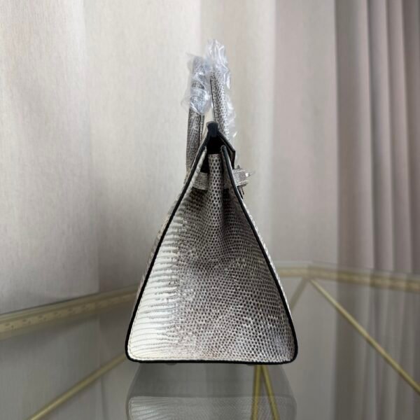 Birkin Sellier 20 in Ombre Lizard with Palladium Hardware. Birkin-Sellier-20-Ombre-Naturel-Lizard-Silver-Hardware