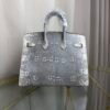Birkin Sellier 20 in Ombre Lizard with Palladium Hardware. Birkin-Sellier-20-Ombre-Naturel-Lizard-Silver-Hardware