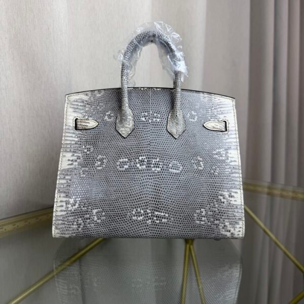 Birkin Sellier 20 in Ombre Lizard with Palladium Hardware. Birkin-Sellier-20-Ombre-Naturel-Lizard-Silver-Hardware