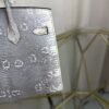 Birkin Sellier 20 in Ombre Lizard with Palladium Hardware. Birkin-Sellier-20-Ombre-Naturel-Lizard-Silver-Hardware
