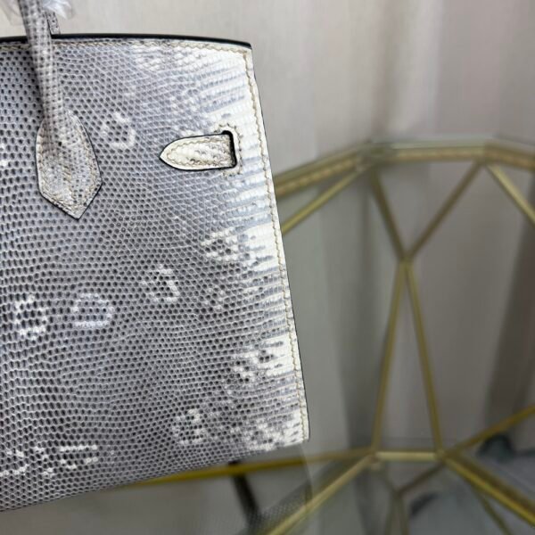 Birkin Sellier 20 in Ombre Lizard with Palladium Hardware. Birkin-Sellier-20-Ombre-Naturel-Lizard-Silver-Hardware