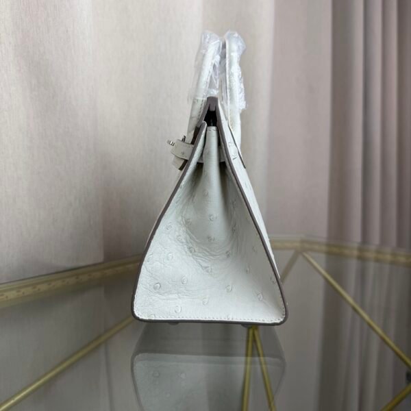 Birkin-Sellier-20-Glacier-White-Ostrich-Silver-Hardware Birkin Sellier 20 Glacier White Ostrich Silver Hardware bag front