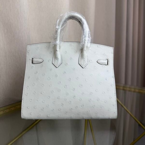 Birkin-Sellier-20-Glacier-White-Ostrich-Silver-Hardware Birkin Sellier 20 Glacier White Ostrich Silver Hardware bag front