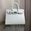 Birkin-Sellier-20-Glacier-White-Ostrich-Silver-Hardware Birkin Sellier 20 Glacier White Ostrich Silver Hardware bag front