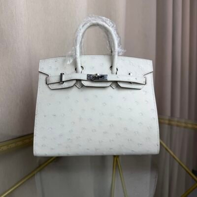 Birkin-Sellier-20-Glacier-White-Ostrich-Silver-Hardware Birkin Sellier 20 Glacier White Ostrich Silver Hardware bag front