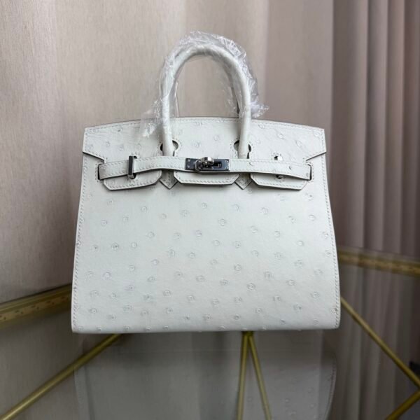 Birkin-Sellier-20-Glacier-White-Ostrich-Silver-Hardware Birkin Sellier 20 Glacier White Ostrich Silver Hardware bag front