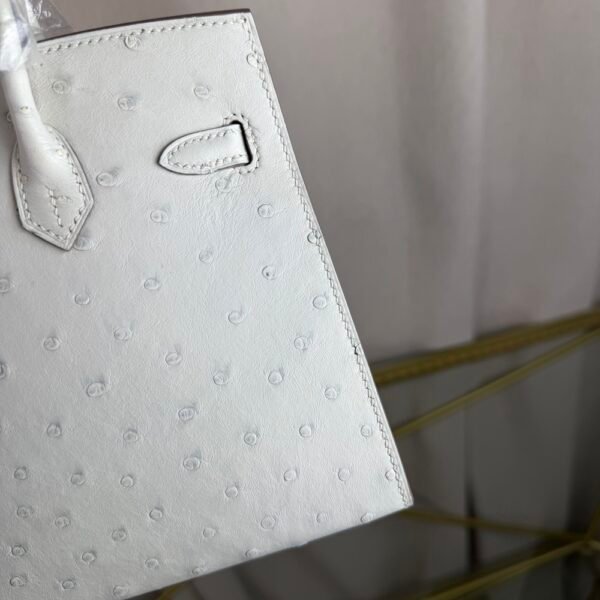 Birkin-Sellier-20-Glacier-White-Ostrich-Silver-Hardware Birkin Sellier 20 Glacier White Ostrich Silver Hardware bag front
