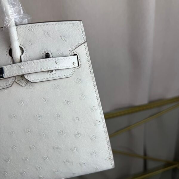 Birkin-Sellier-20-Glacier-White-Ostrich-Silver-Hardware Birkin Sellier 20 Glacier White Ostrich Silver Hardware bag front