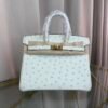 Birkin-25-Blanc-Ostrich-Gold-Hardware Birkin 25 Blanc Ostrich Gold Hardware bag
