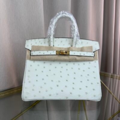 Birkin-25-Blanc-Ostrich-Gold-Hardware Birkin 25 Blanc Ostrich Gold Hardware bag
