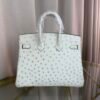 Birkin-25-Blanc-Ostrich-Gold-Hardware Birkin 25 Blanc Ostrich Gold Hardware bag