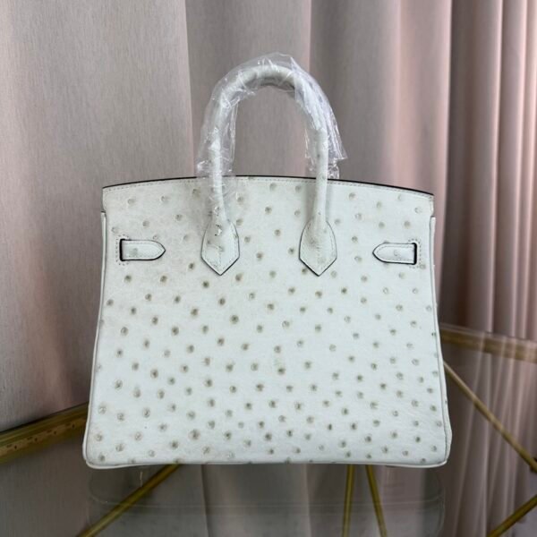 Birkin-25-Blanc-Ostrich-Gold-Hardware Birkin 25 Blanc Ostrich Gold Hardware bag