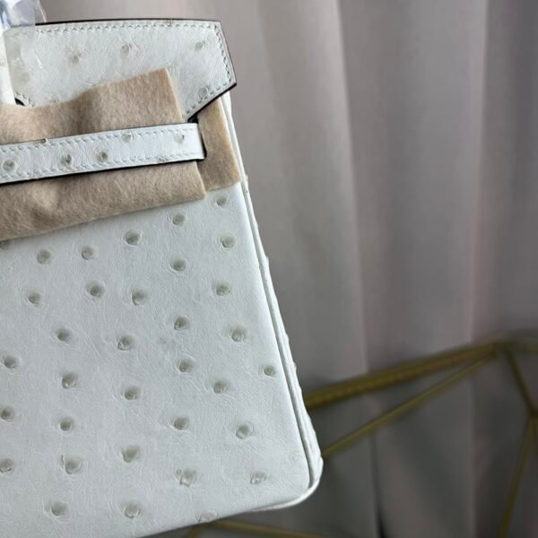 Birkin-25-Blanc-Ostrich-Gold-Hardware Birkin 25 Blanc Ostrich Gold Hardware bag