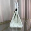 Birkin-25-Blanc-Ostrich-Gold-Hardware Birkin 25 Blanc Ostrich Gold Hardware bag
